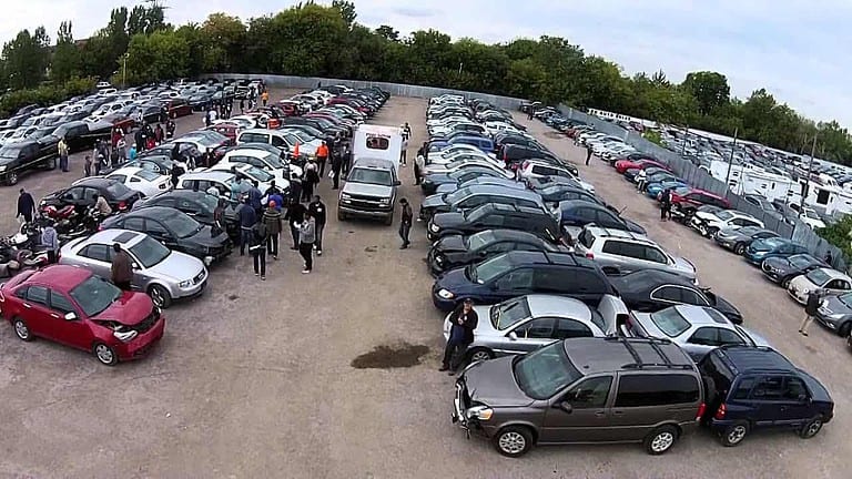 Should You Buy Vehicles from Government Auctions?