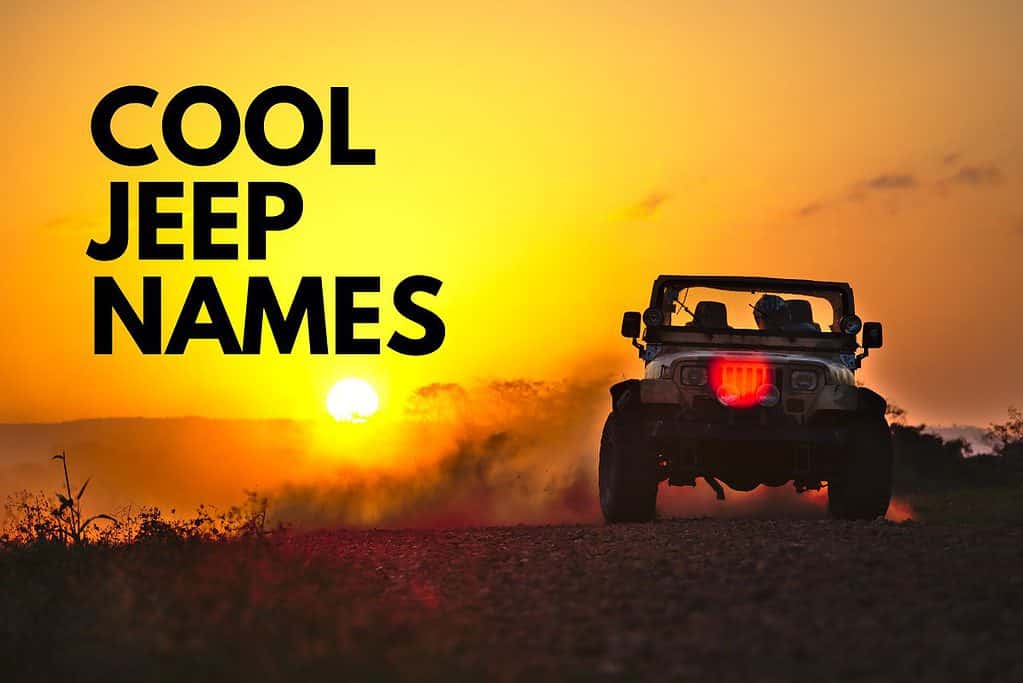Cool Jeep Names