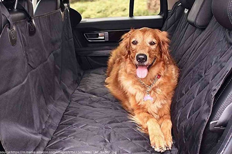 The 5 Best Dog Seat Covers For The Ford F150 [2023]
